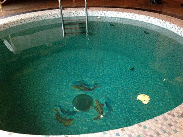 Photos de la rsidence du prsident Ukrainien - 9