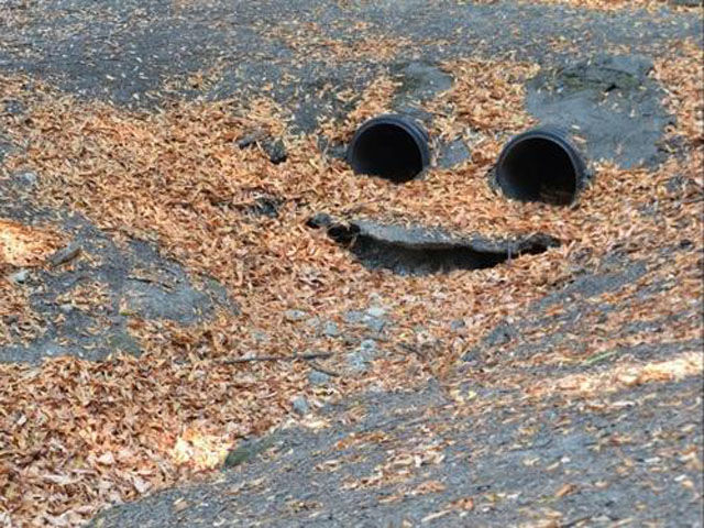 Des objets avec des visages - 19