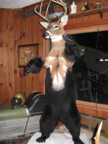 Des photos absurdes - 3