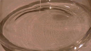 Réactions chimiques amusantes (Du sang sur du peroxyde d'hydrogène)