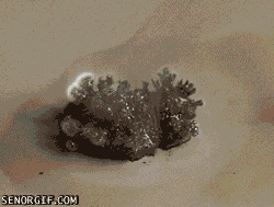 Réactions chimiques amusantes (Brûler du lithium)