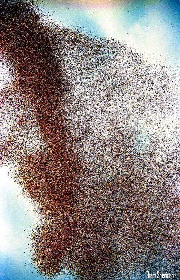 Fte des ballons  Cleveland - 3