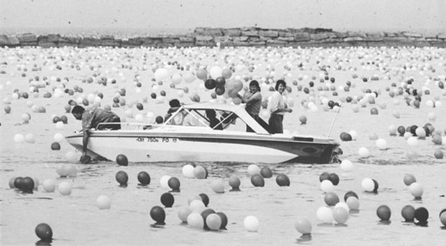 Fte des ballons  Cleveland - 7