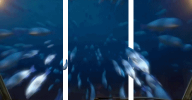 Gifs animés 3D avec bandes blanches - 4