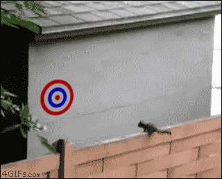 Gifs combinés drôles - 14