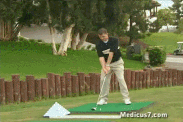 Gifs combinés drôles - 20