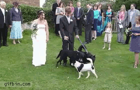 Fail de mariage - 21