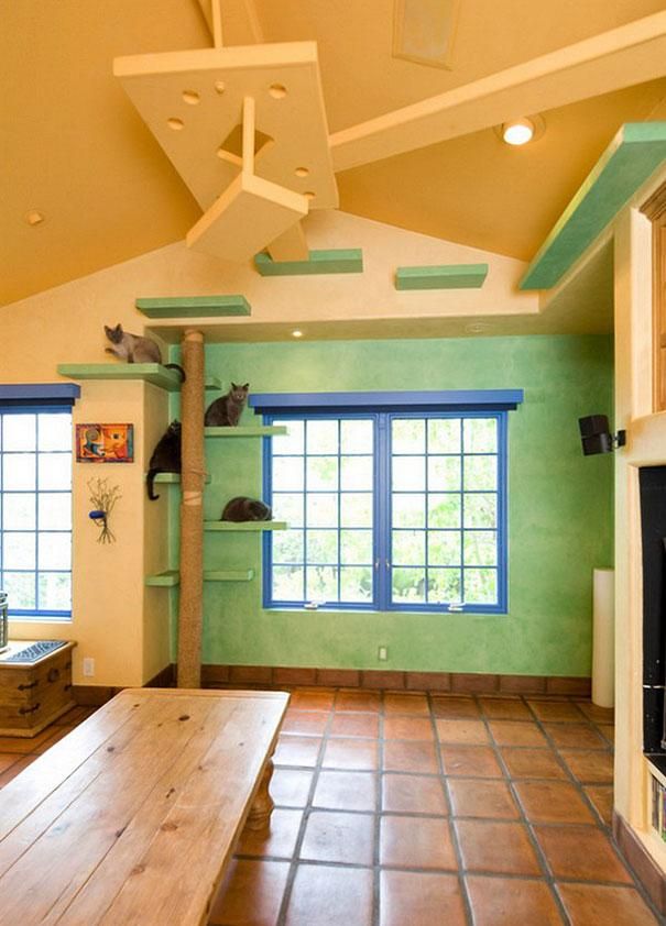 Le paradis des chats - 7