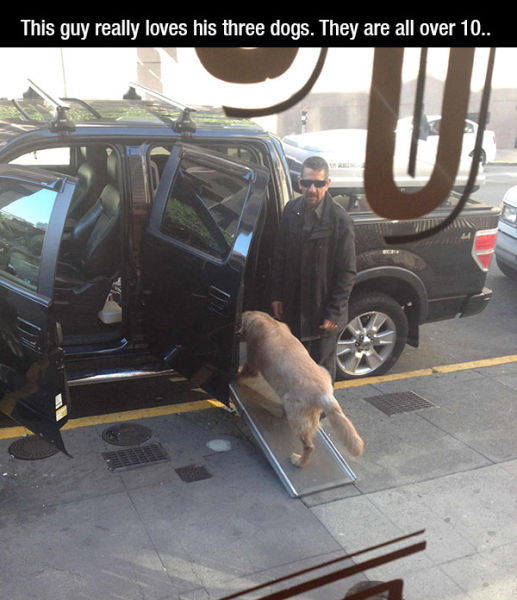 Ces personnes aiment les animaux - 15