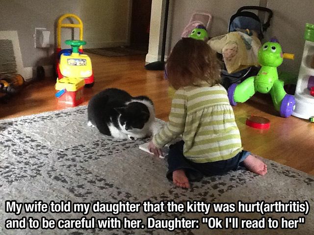 Ces personnes aiment les animaux - 26