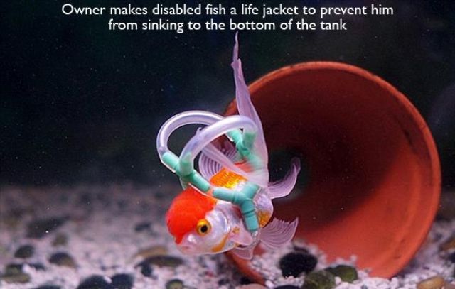 Ces personnes aiment les animaux - 28