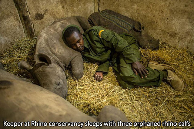 Ces personnes aiment les animaux - 29