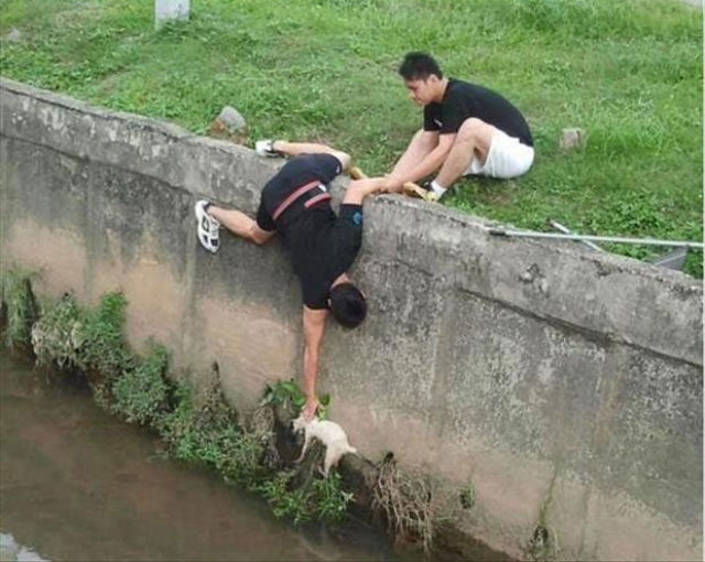 Ces personnes aiment les animaux - 3