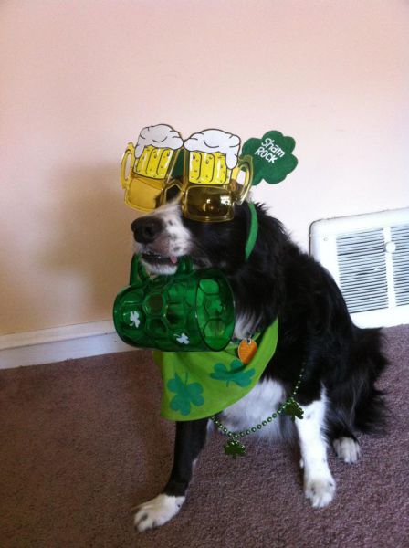 Photos de Saint Patrick - 7