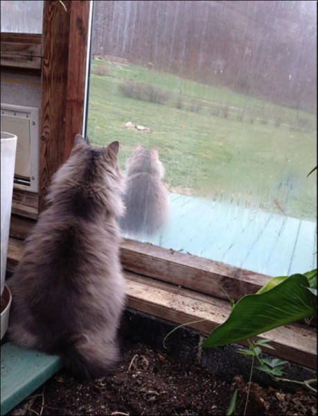 Des clones en ville - 8