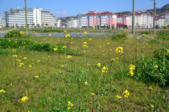 Sotchi, la ville fantme - 34