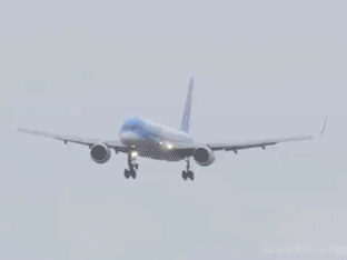 Atterrissages d'avions très difficiles - 12