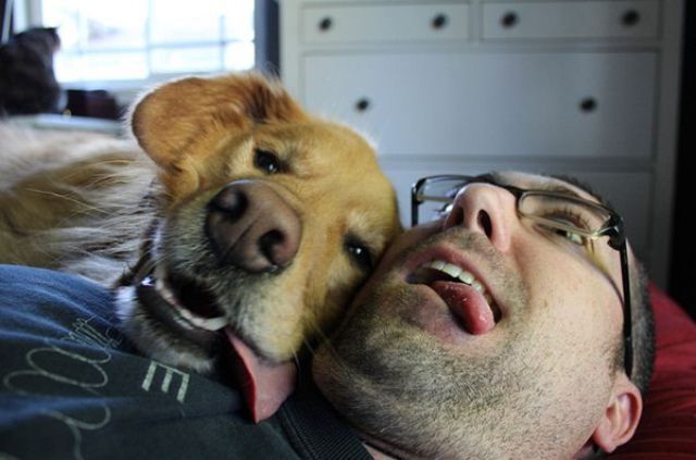 Expression: Les chiens ne font pas des chats - 11