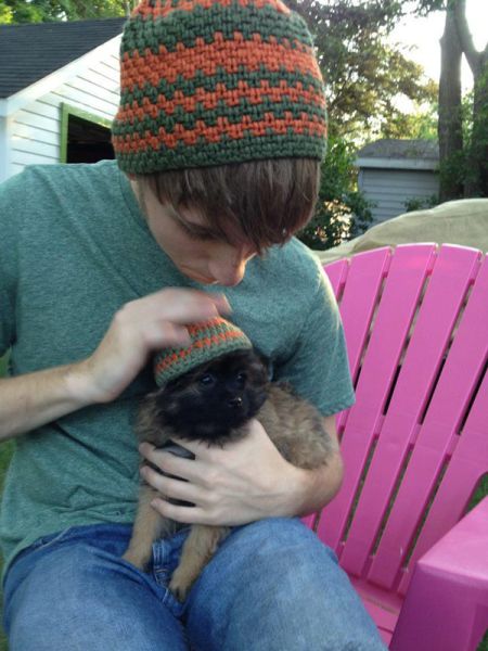 Expression: Les chiens ne font pas des chats - 6