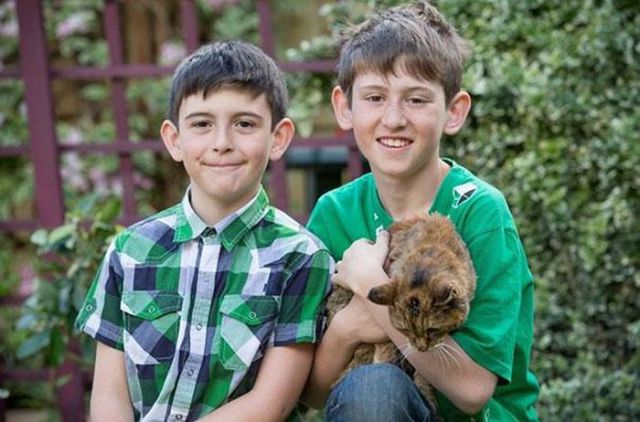 Poppy, le plus vieux chat au monde - 11