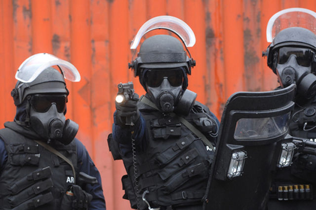 forces-speciales-monde (Forces Spciales Irlandaises)