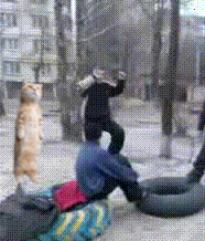 Des gifs très cools - 4
