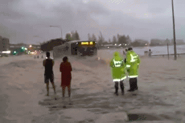 Des gifs très cools - 7
