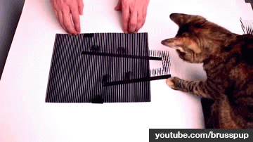 Des illusions d'optique cools - 21