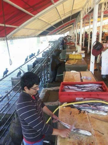 Des photos toujours plus folles - 10