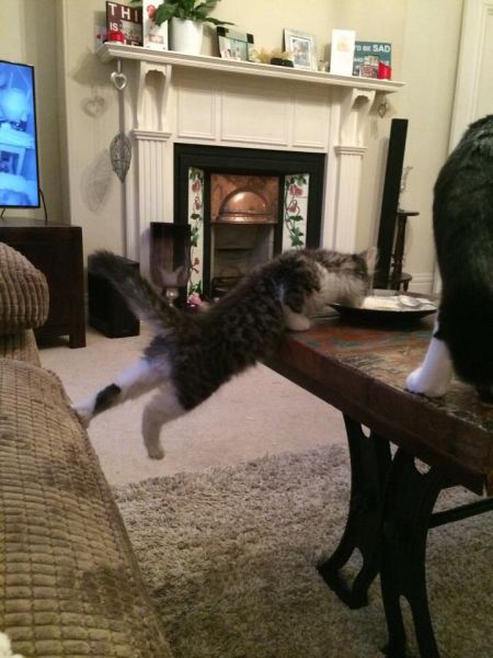 Des photos toujours plus folles - 21