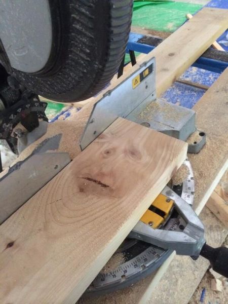 Des photos toujours plus folles - 26