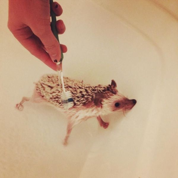 Des photos toujours plus folles - 6