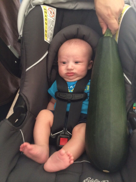 Des photos incroyables mais vraies - 14