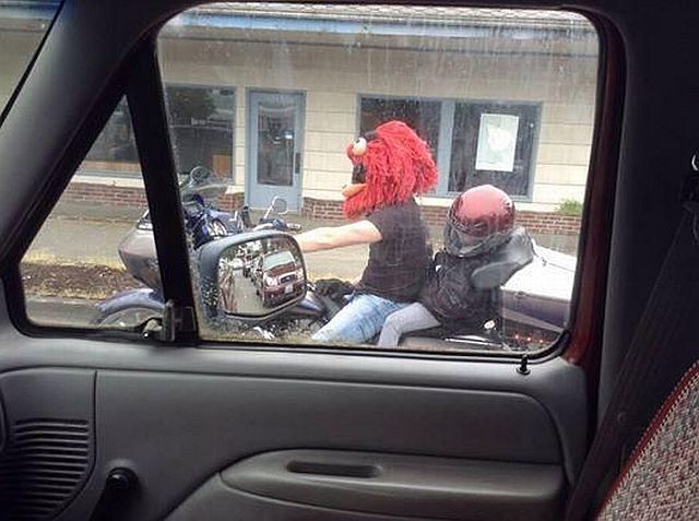 Des photos incroyables mais vraies - 25