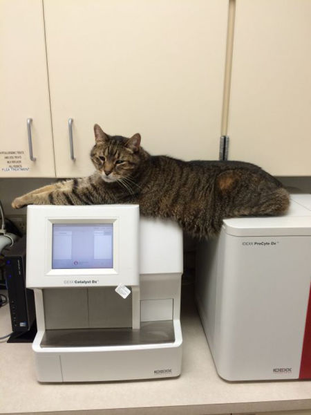 Le boulot est fun - 2