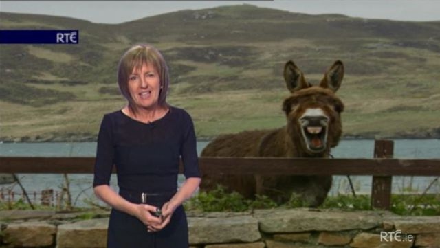 Des clichés ratés - 18