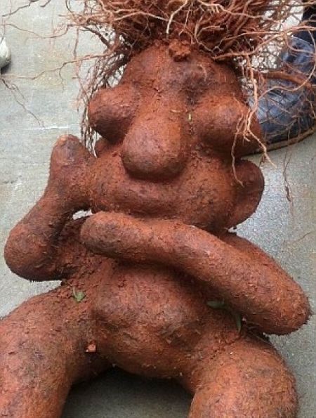 Des lgumes trop rigolos - 27