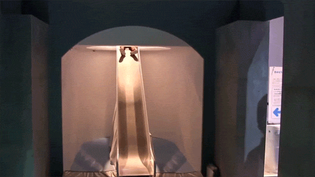 Animations de l'exposition du caca - 1