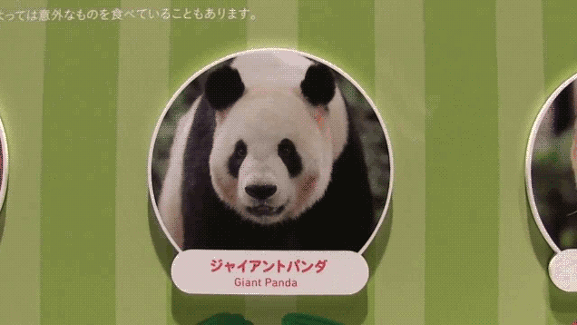 Animations de l'exposition du caca - 3