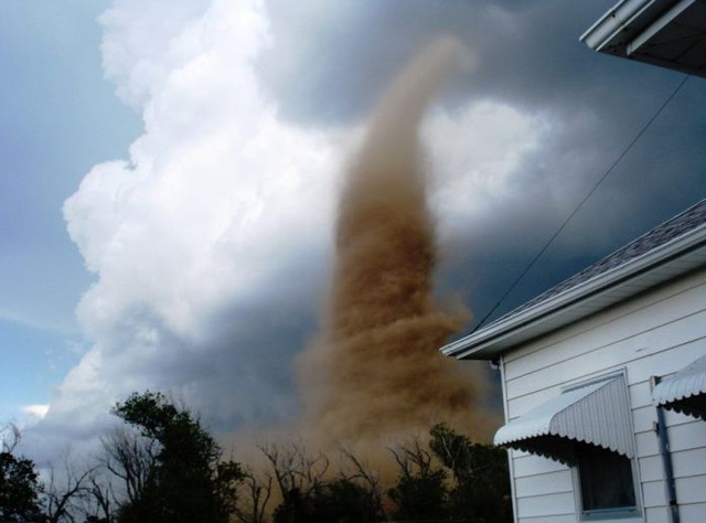 Le show de la nature - 12