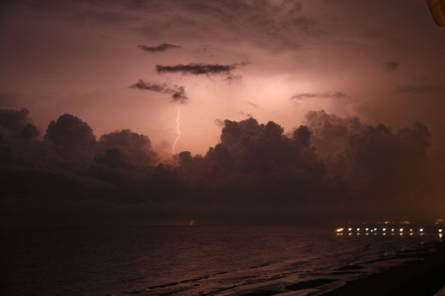 Le show de la nature - 13