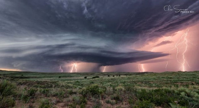 Le show de la nature - 19