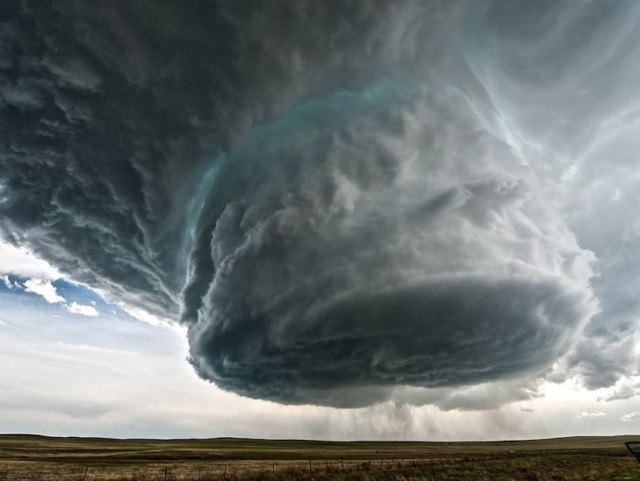 Le show de la nature - 2