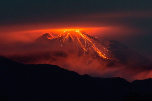 Le show de la nature - 23