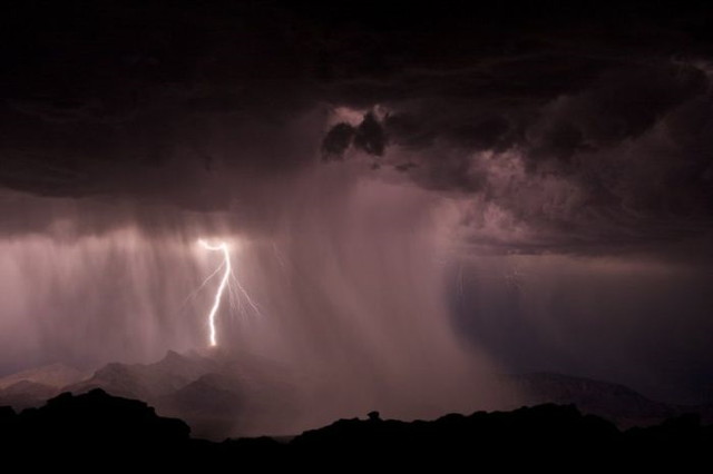 Le show de la nature - 25