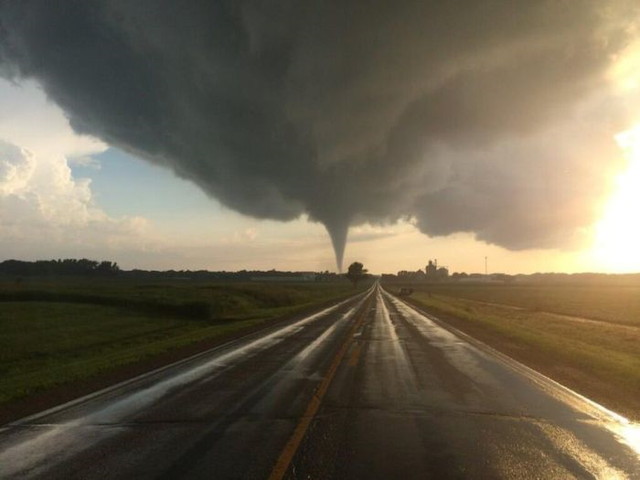 Le show de la nature - 26