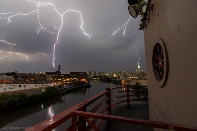 Le show de la nature - 29