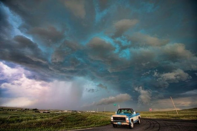 Le show de la nature - 30