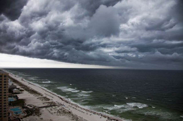 Le show de la nature - 8