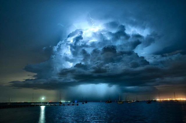 Le show de la nature - 9